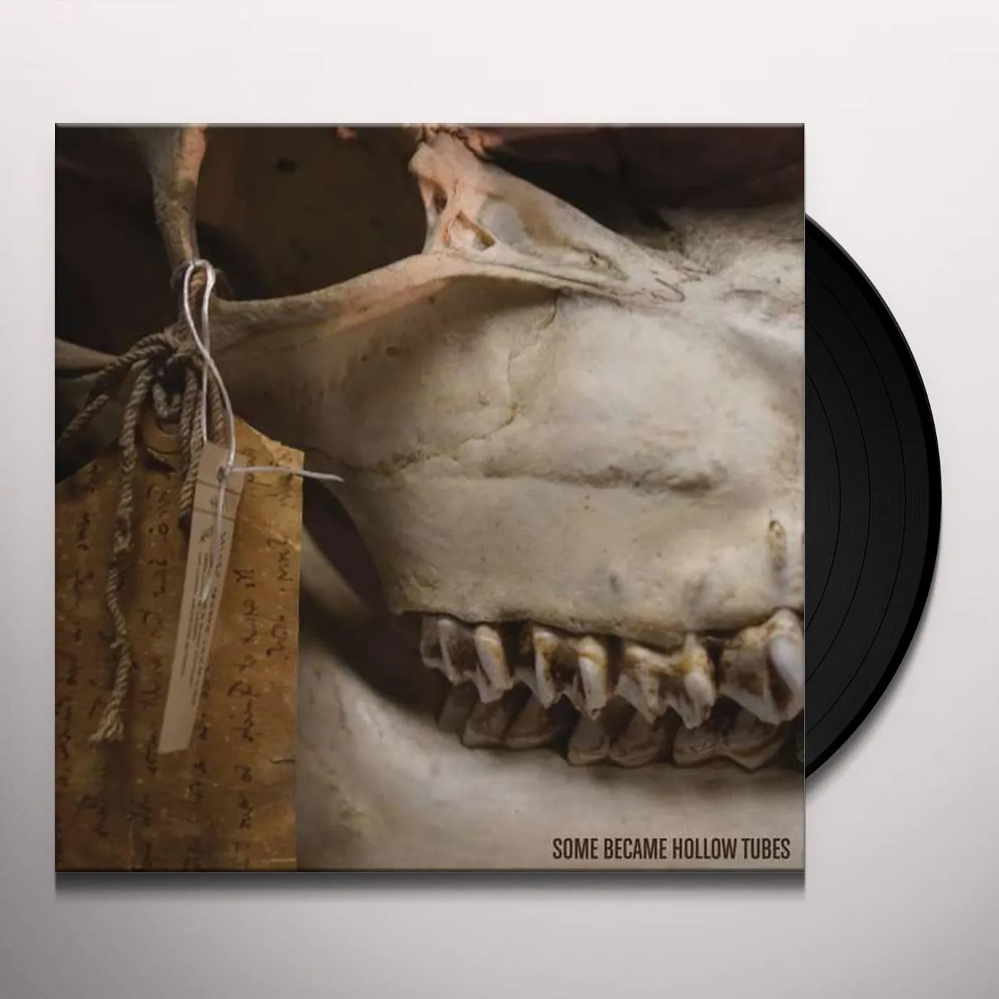 Some Became Hollow tubes Keep It In The Ground Vinyl Record