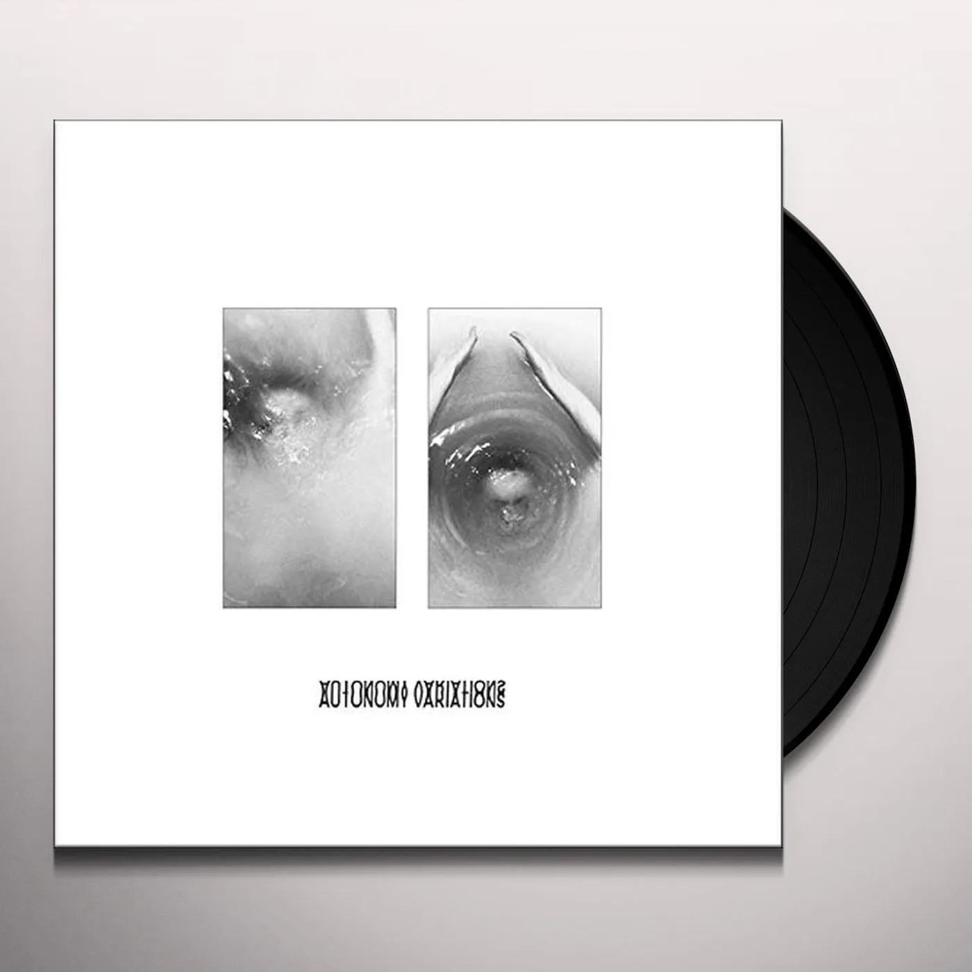 The Golden Filter Autonomy variations Vinyl Record