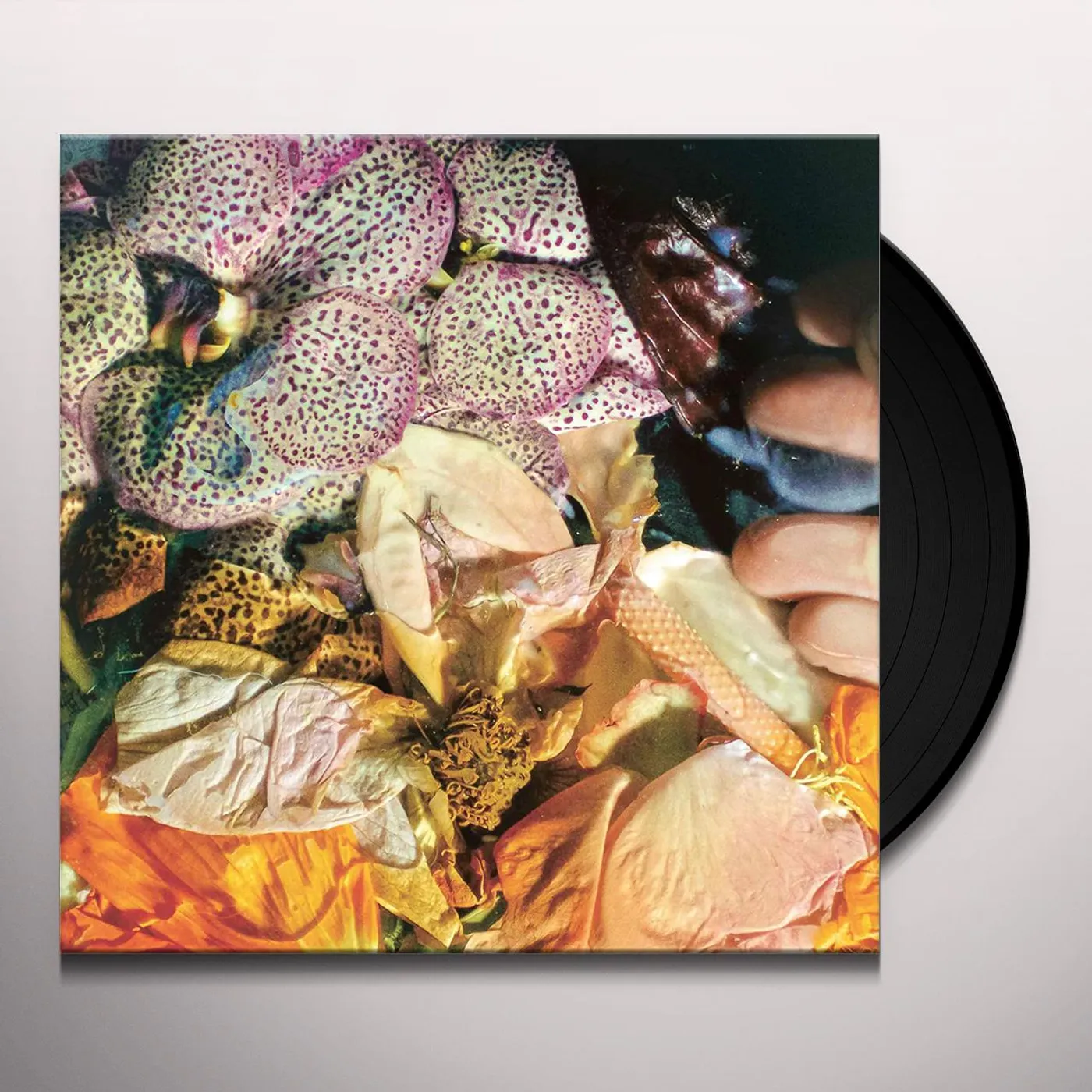 Soela Genuine Silk Vinyl Record