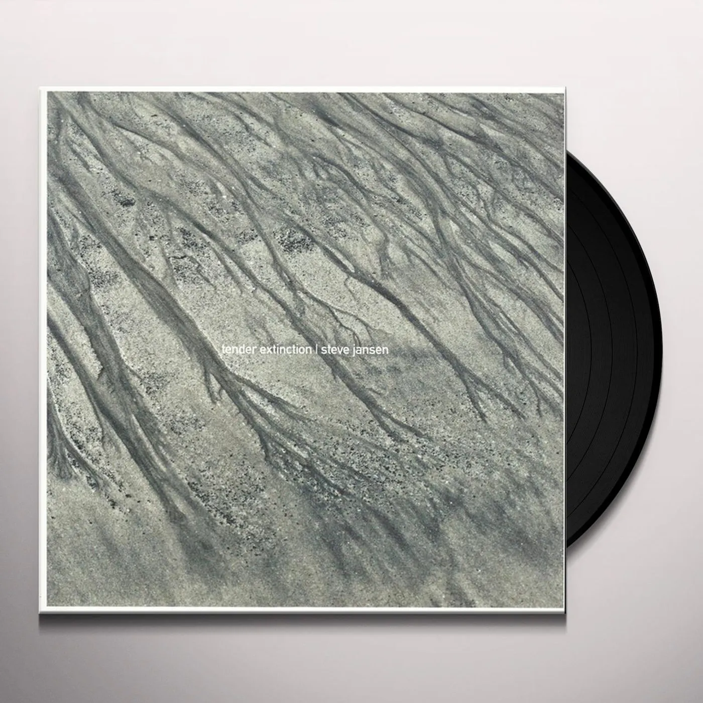 Steve Jansen Tender Extinction Vinyl Record