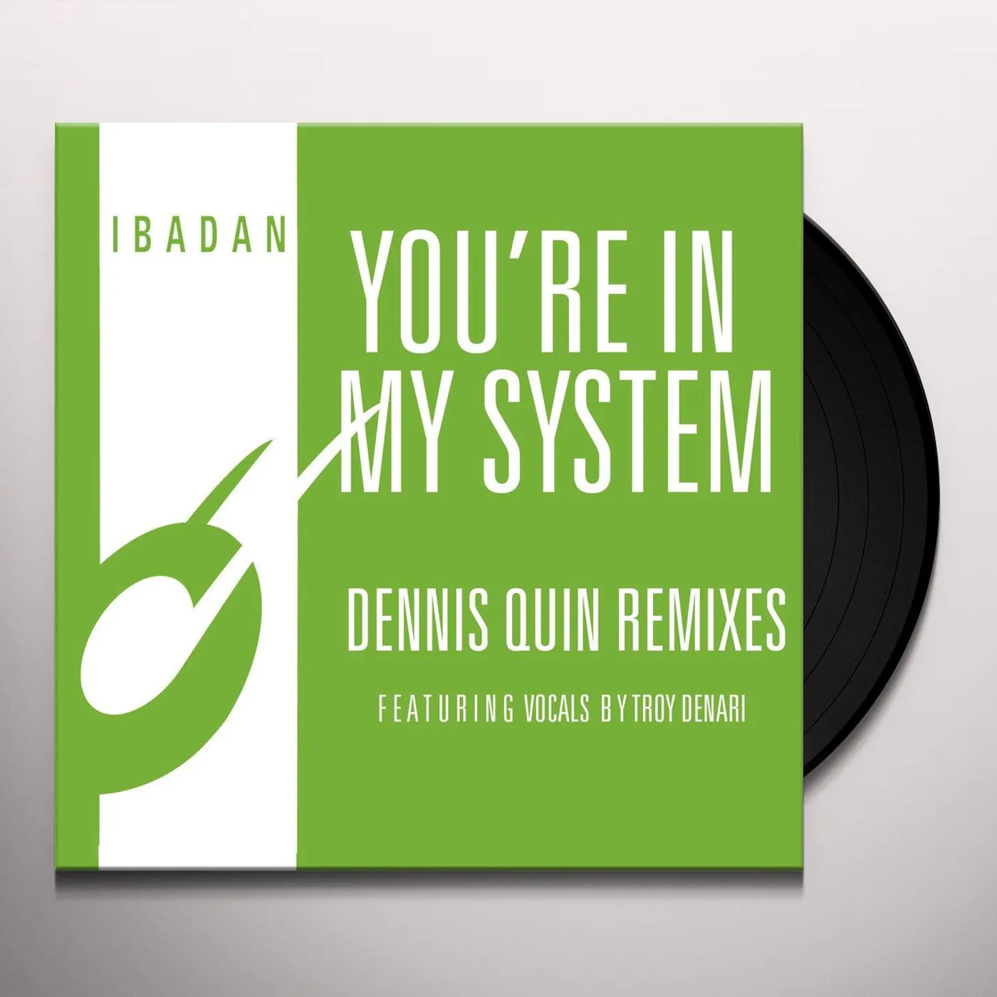 Jerome Sydenham/Kerri Chandler You're In My System Vinyl Record