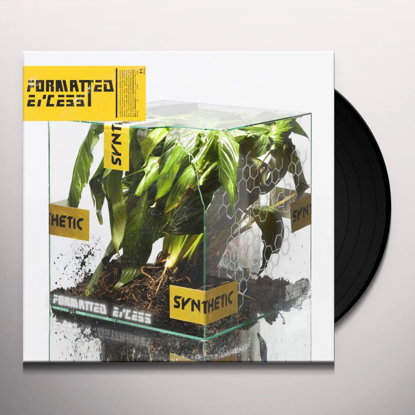 NxxxxxS Formatted excess lp Vinyl Record