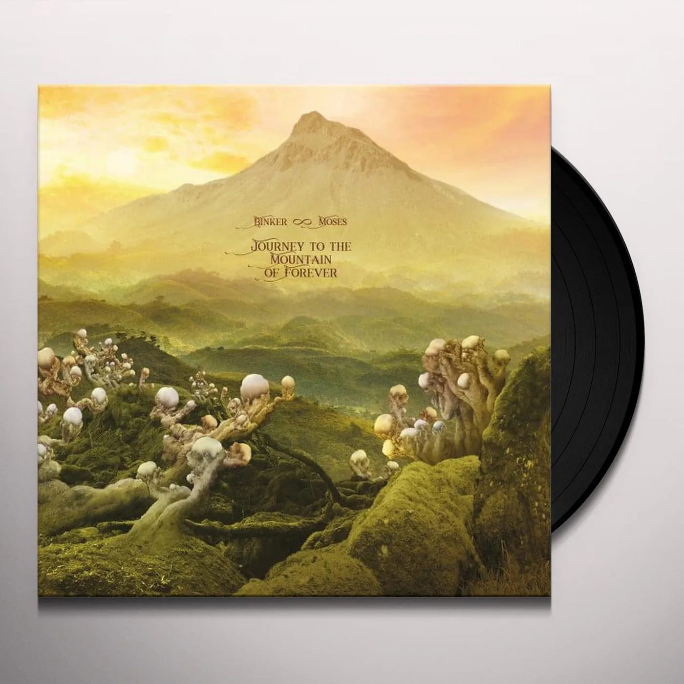 Binker and Moses Journey To The Mountain Of Forever Vinyl Record