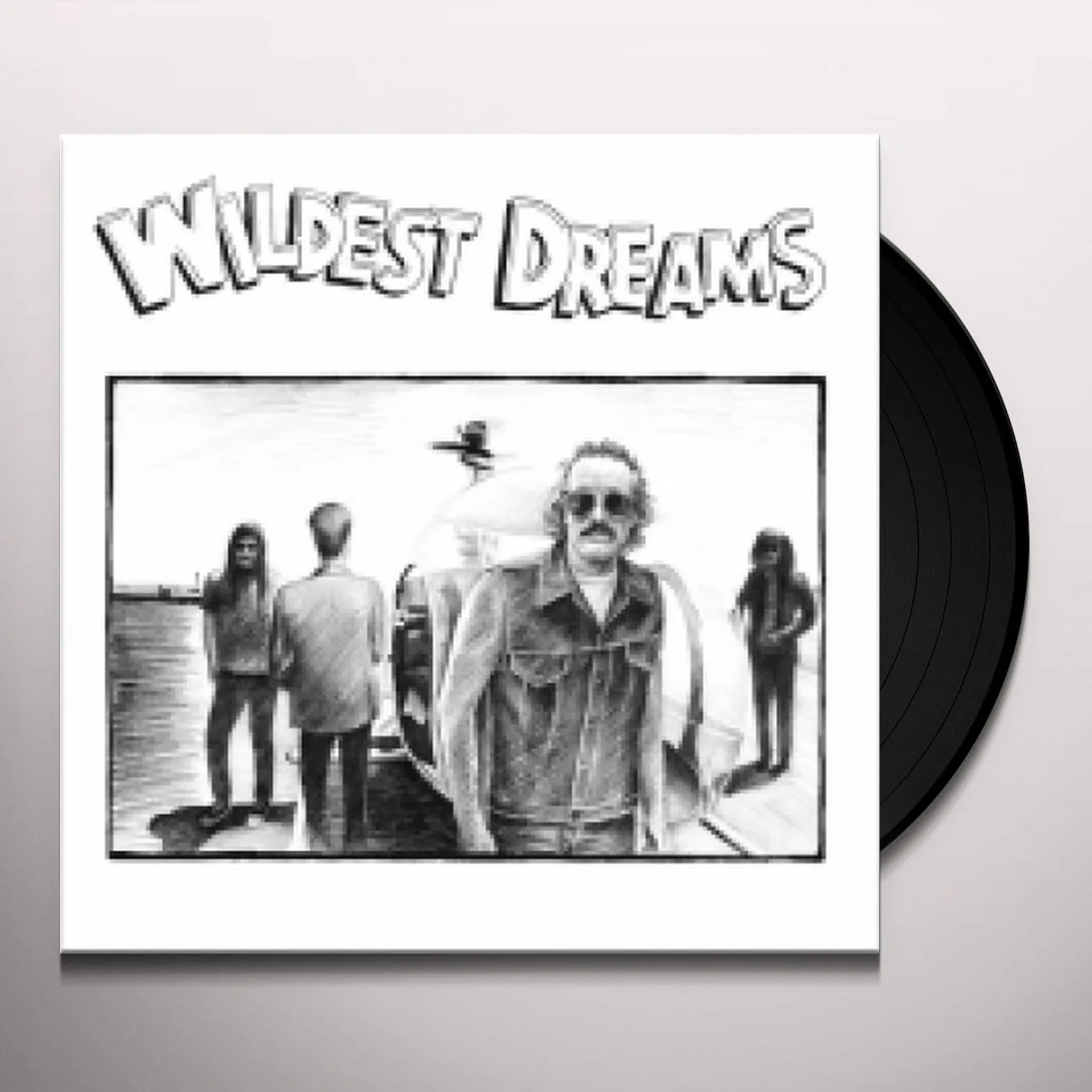 Wildest dreams Vinyl Record