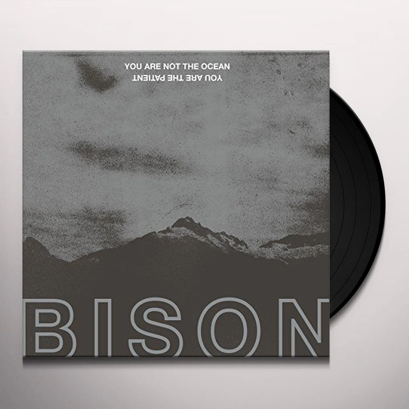 Bison You Are Not The Ocean You Are The Patient Vinyl Record