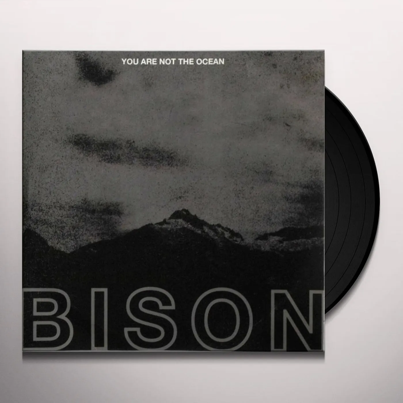 Bison You are not the ocean you are the patien Vinyl Record