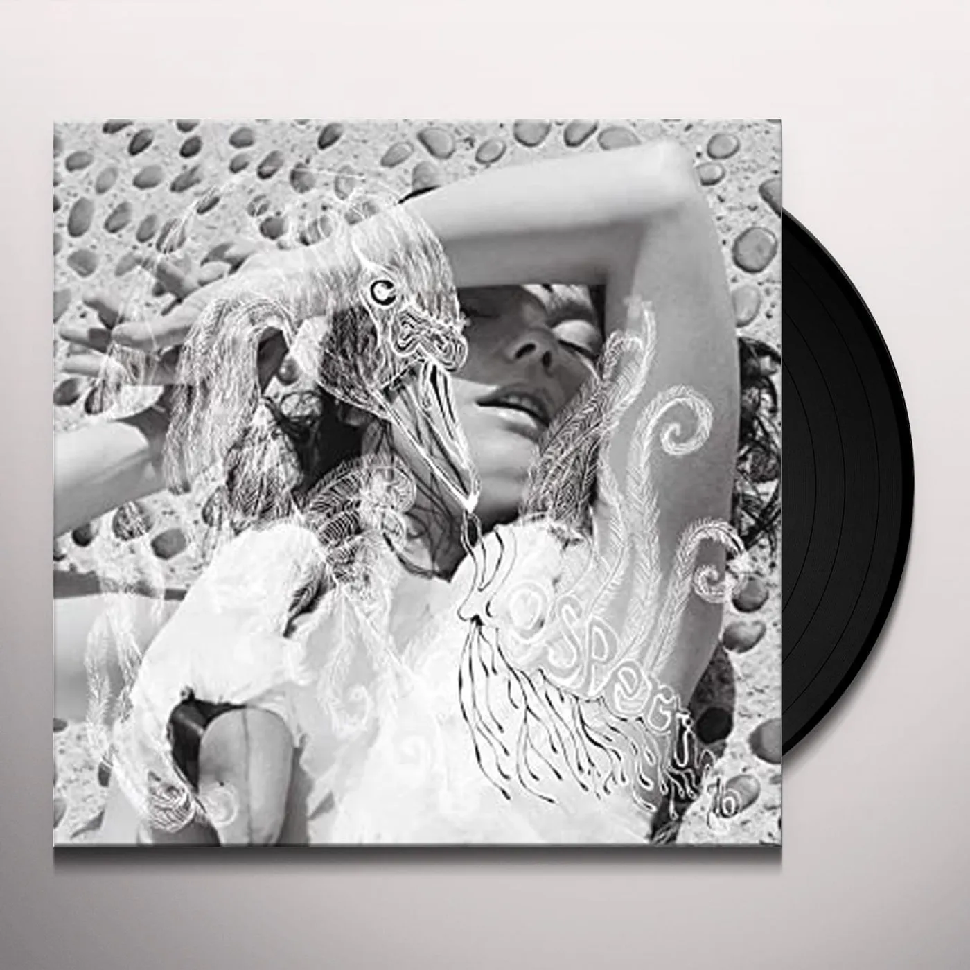 Björk Vespertine Vinyl Record