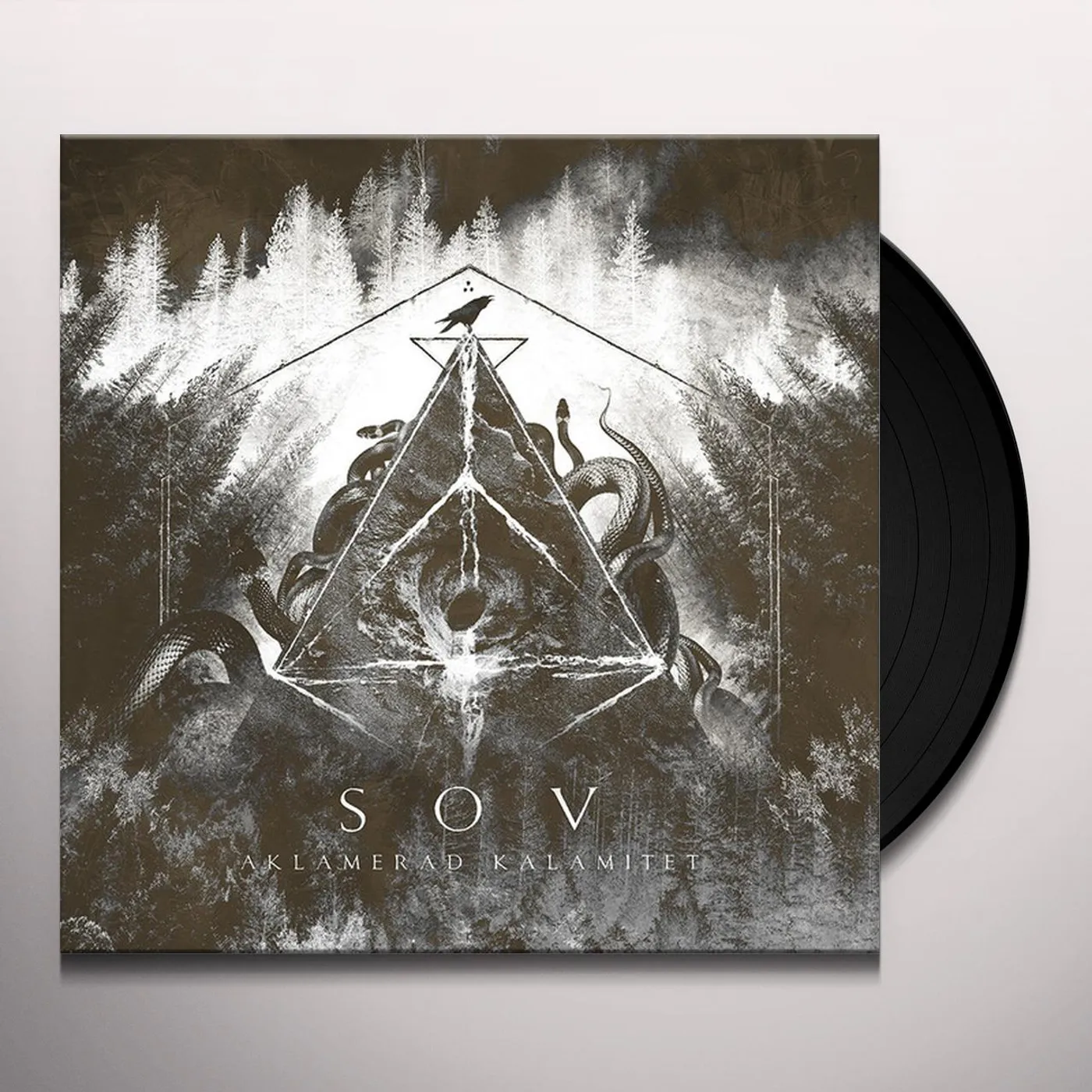 SOV Aklamerad kalamitet Vinyl Record