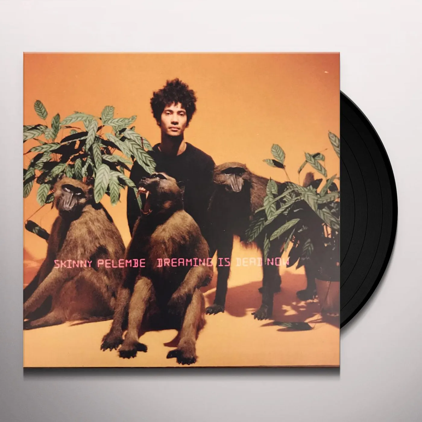 Skinny Pelembe Dreaming Is Dead Now Vinyl Record