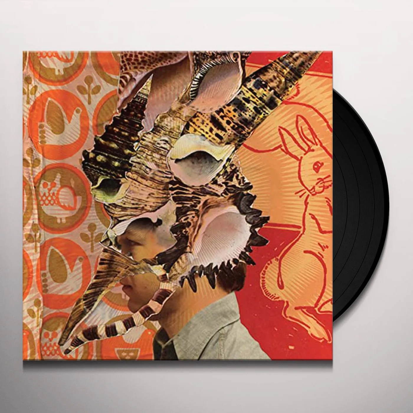 Son, Ambulance Someone Elses Deja Vu Vinyl Record