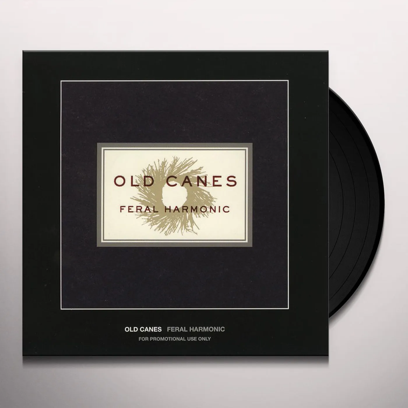 Product Image 114