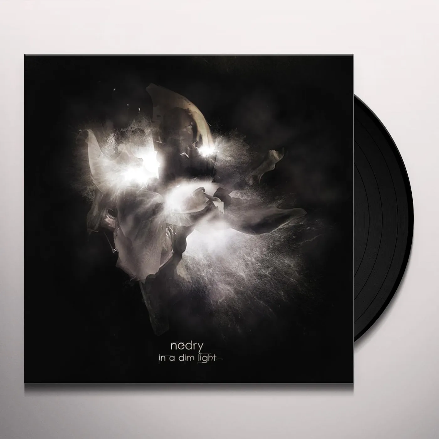Nedry In A Dim Light Vinyl Record