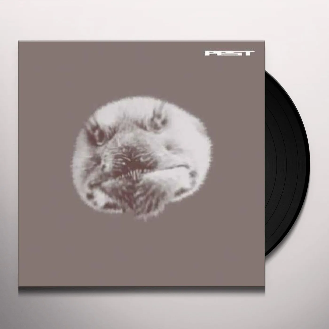 Pest Jefferson Shuffle Vinyl Record