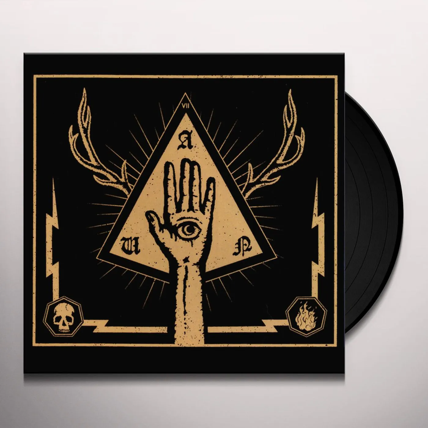 AUN Vii Vinyl Record