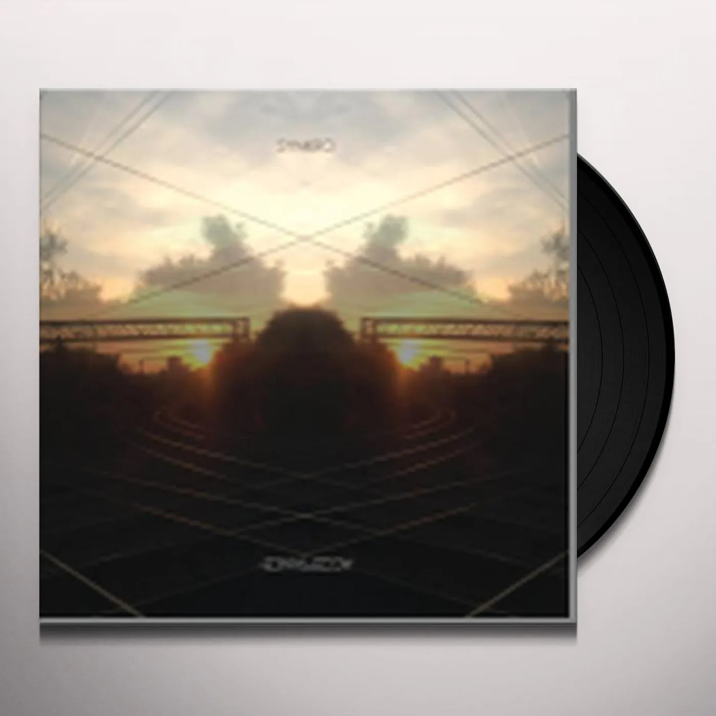 Synkro Acceptance (2 Lp) Vinyl Record