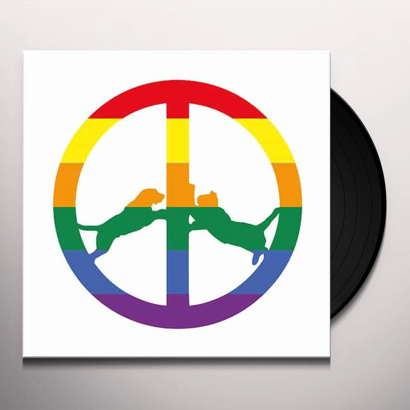 Hype Williams Rainbow Edition Vinyl Record