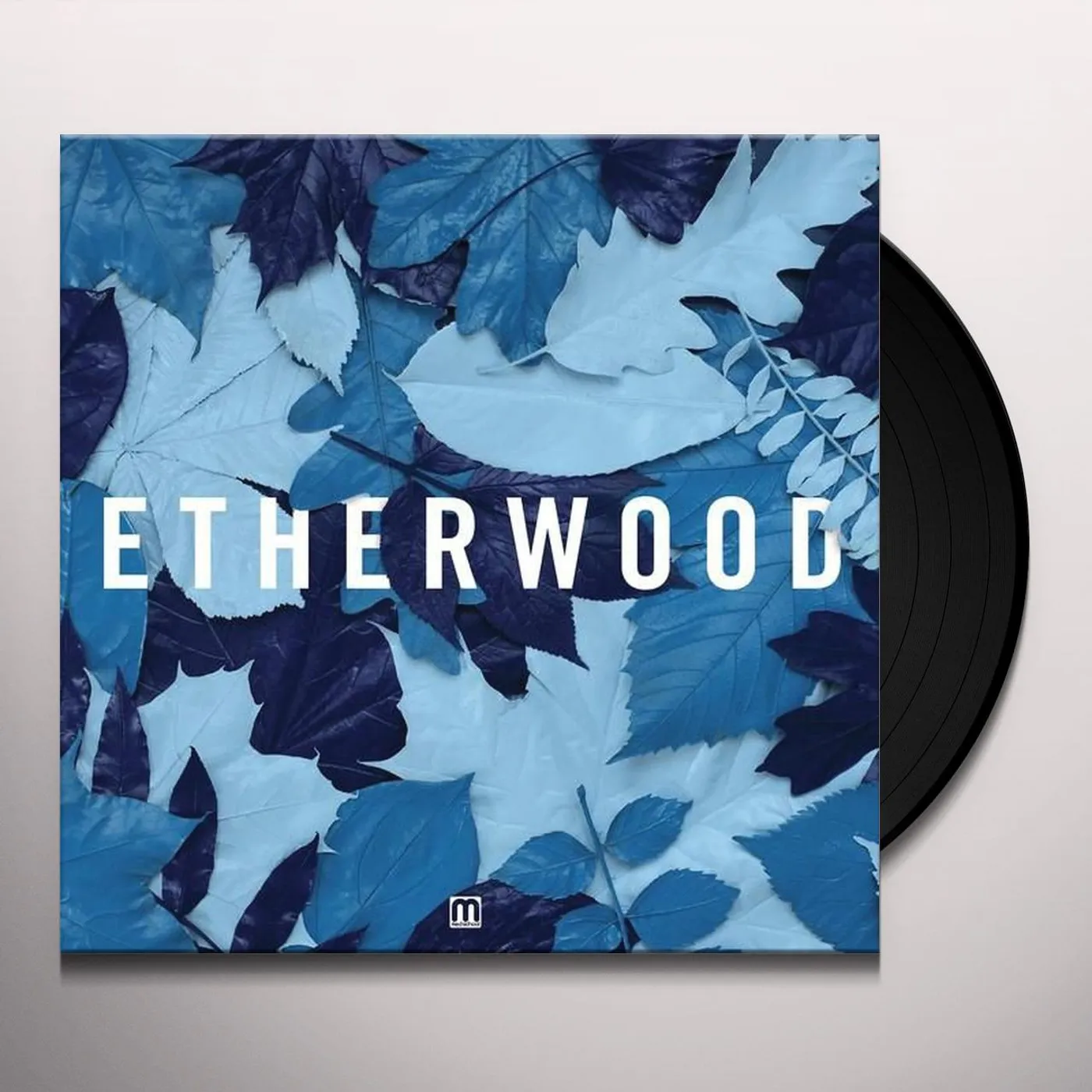 Etherwood Blue Leaves Vinyl Record