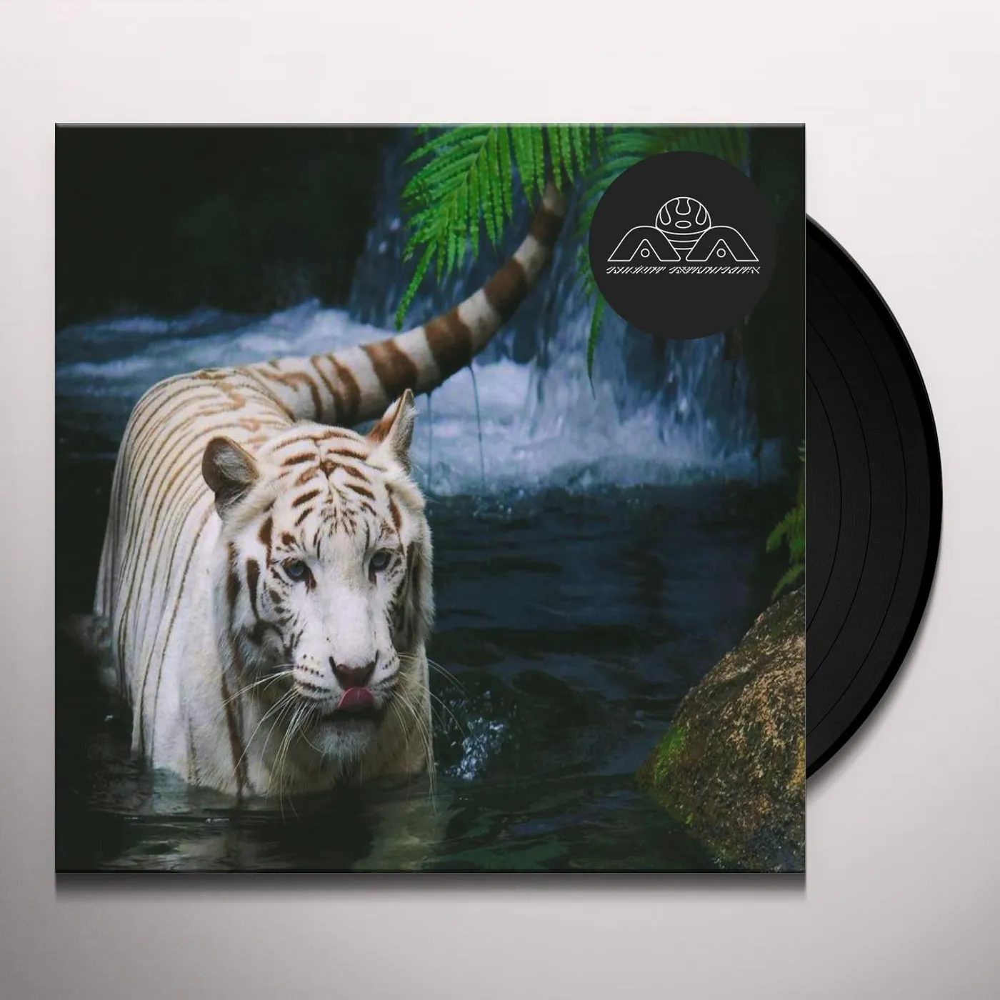 Lone Not seeing is a flower Vinyl Record