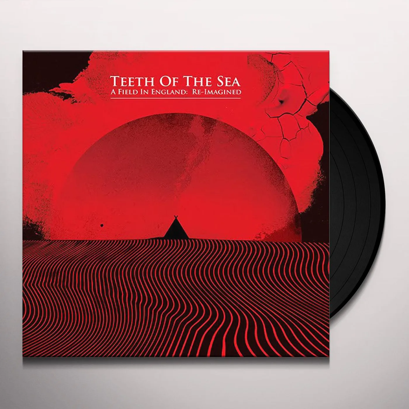 Teeth Of The Sea FIELD IN ENGLAND: RE-IMAGINED Vinyl Record