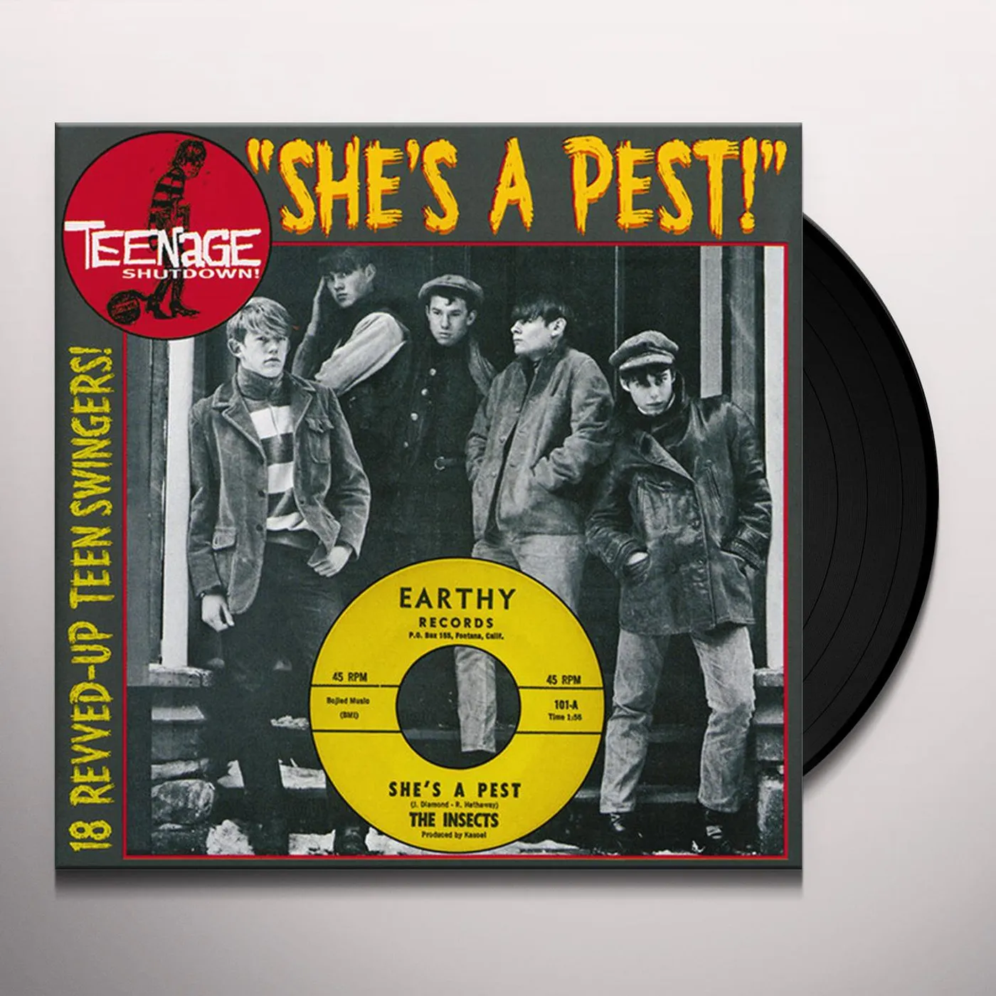 TEENAGE SHUTDOWN 15: SHE'S A PEST / VARIOUS (Vinyl)