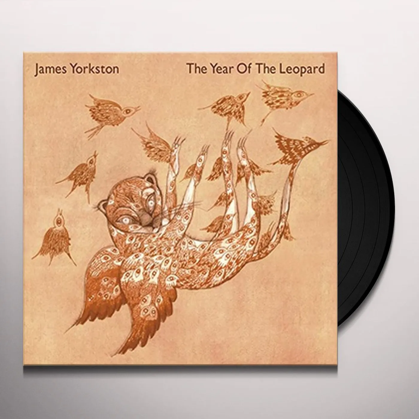 James Yorkston YEAR OF THE LEOPARD Vinyl Record