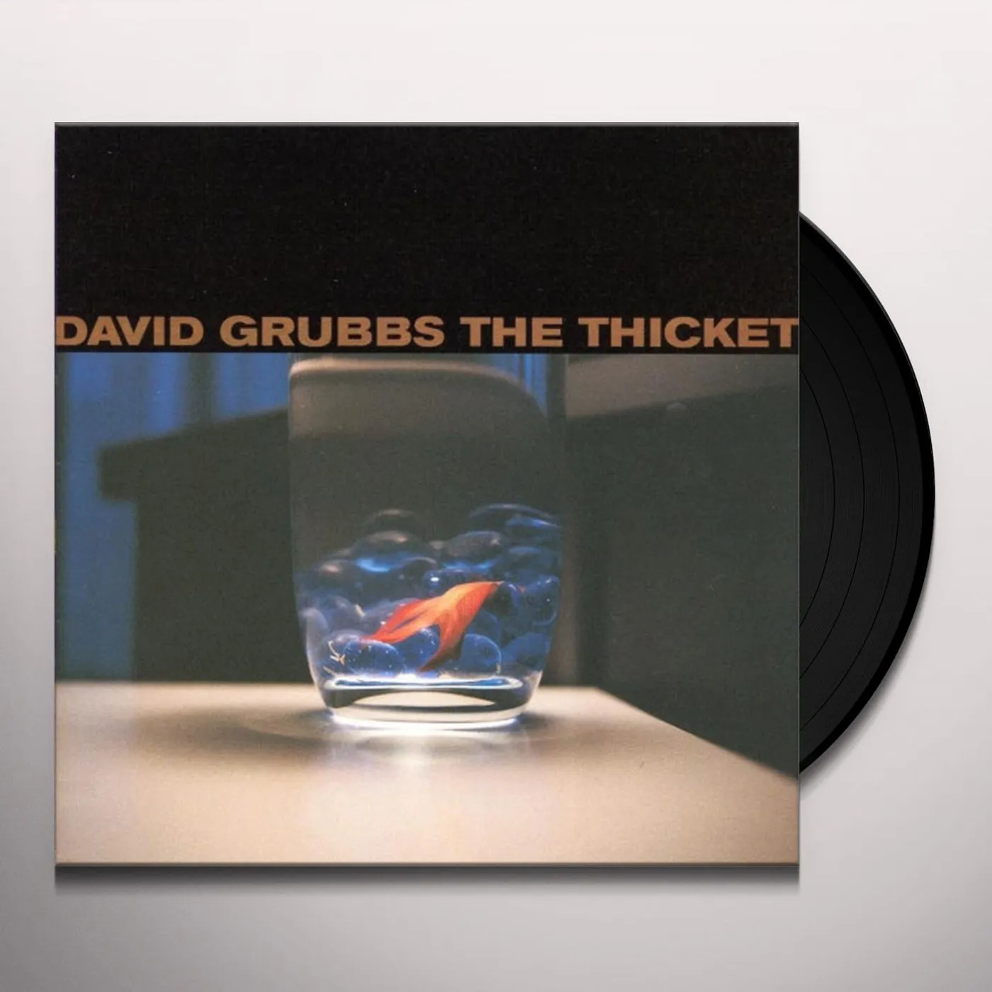 David Grubbs THICKET Vinyl Record