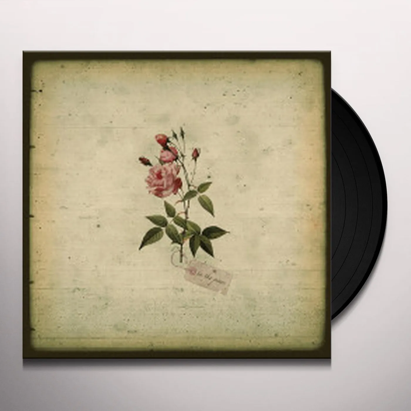 In The Pines Vinyl Record