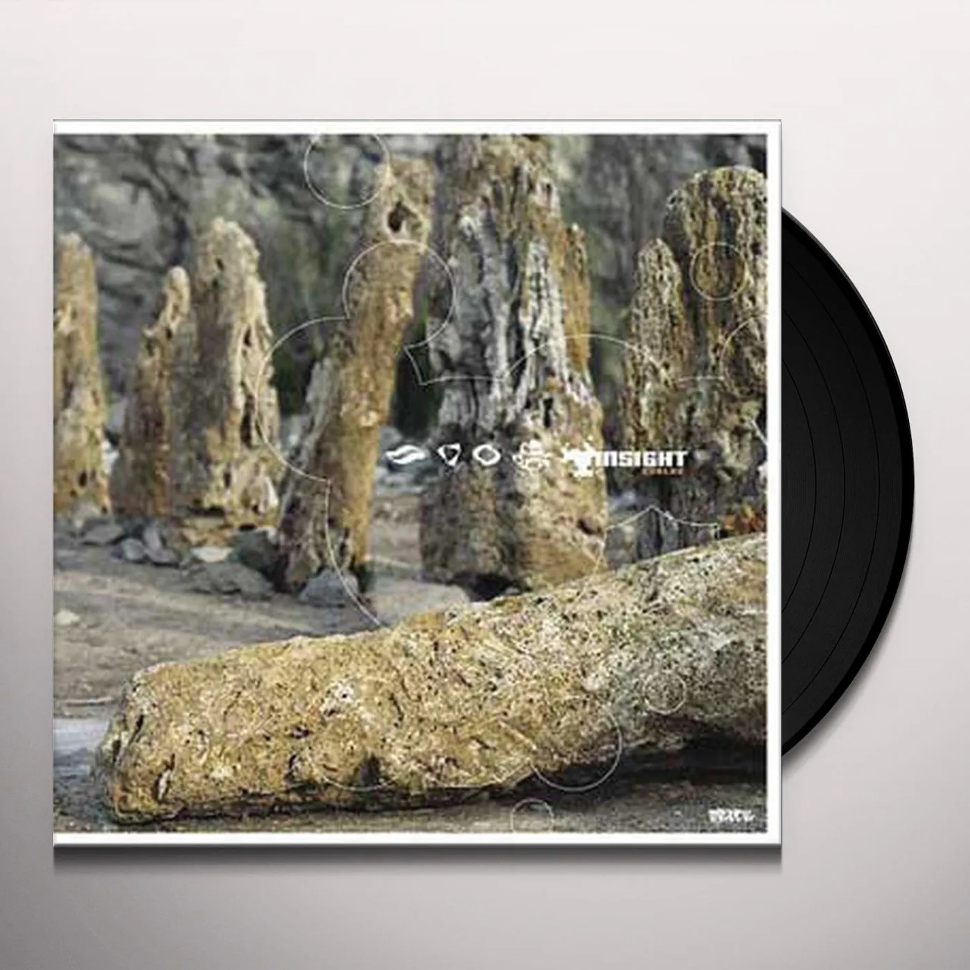 Insight EVOLVE Vinyl Record