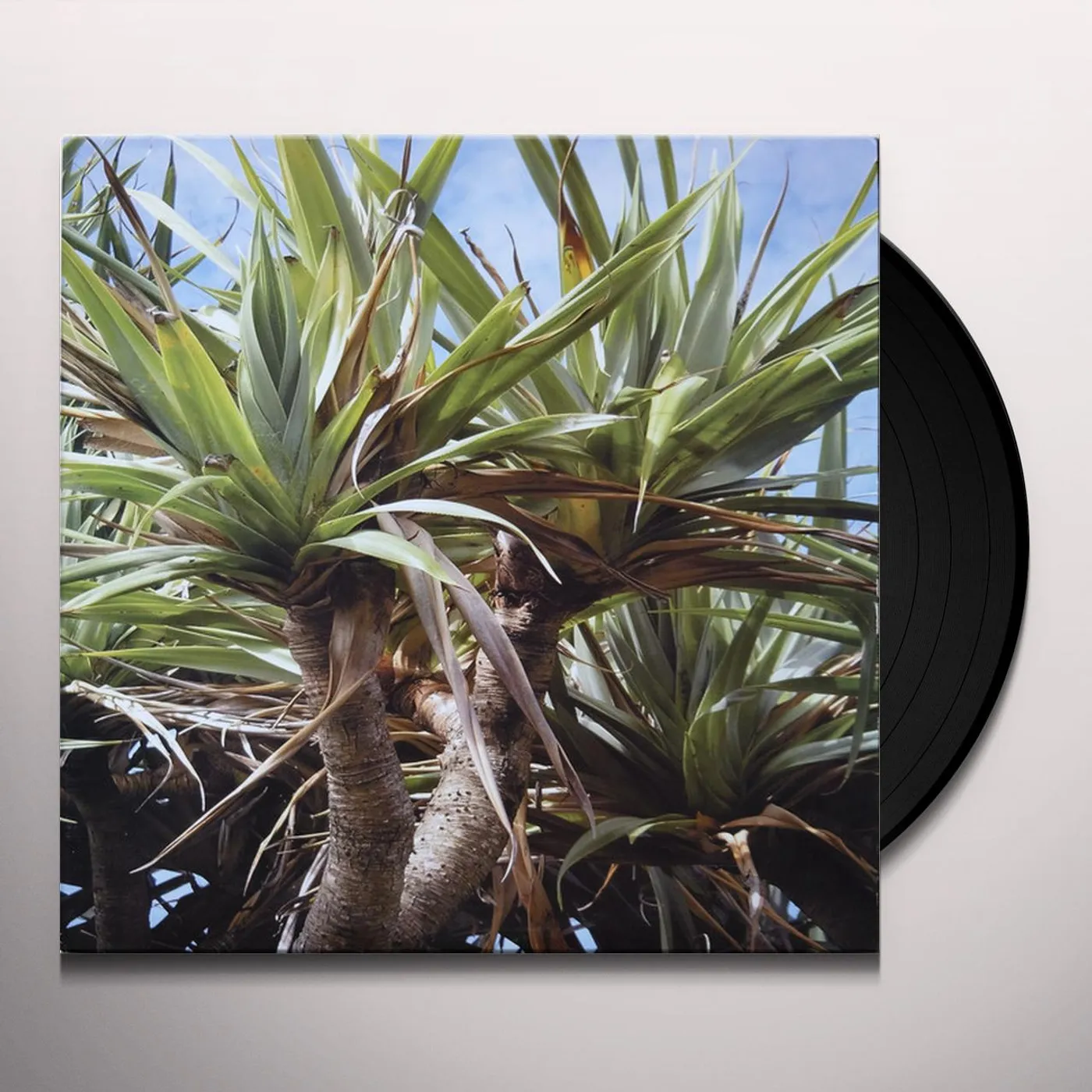 The Deadnotes ORANGE TRUMPET Vinyl Record