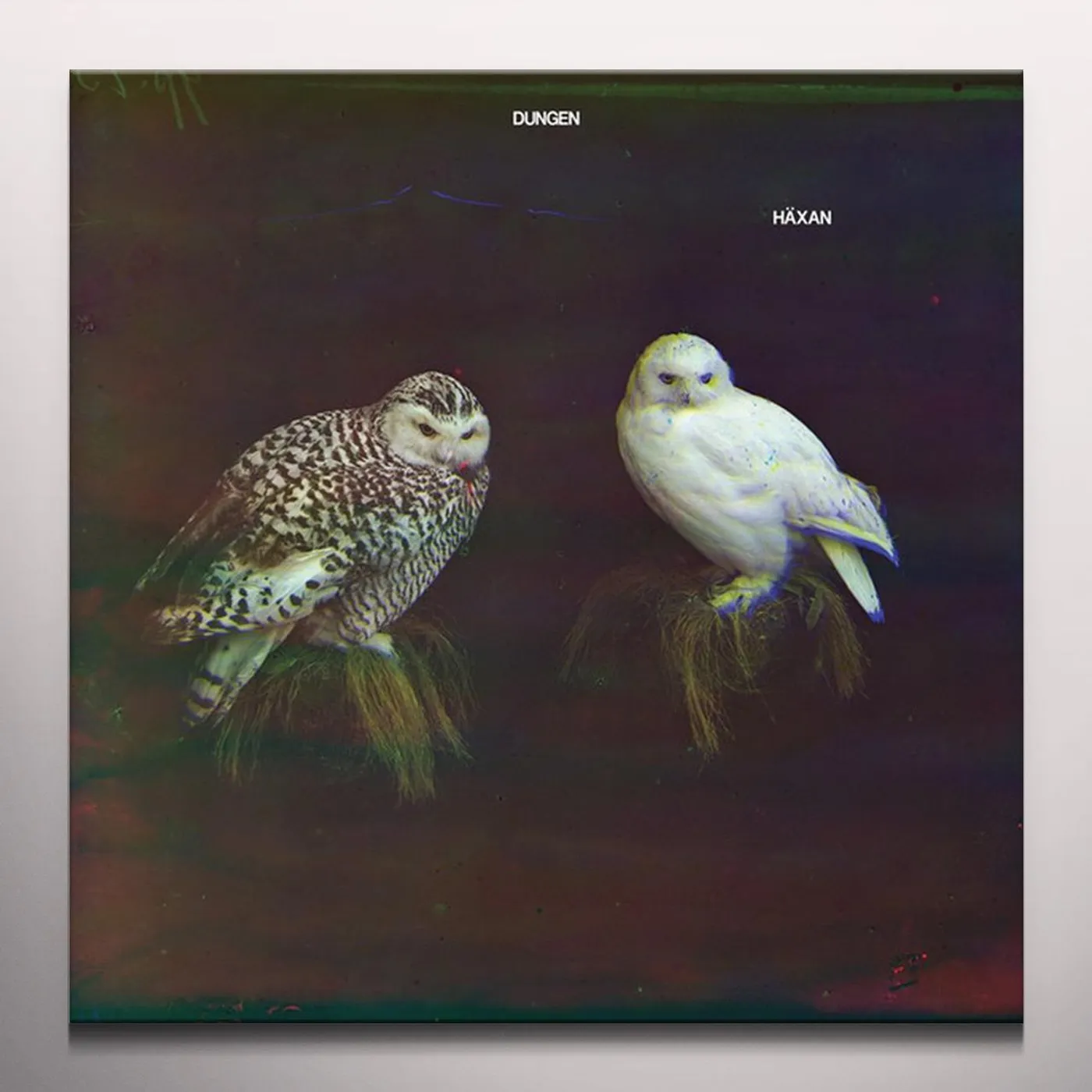 Dungen HAXAN Vinyl Record - Clear Vinyl, UK Release