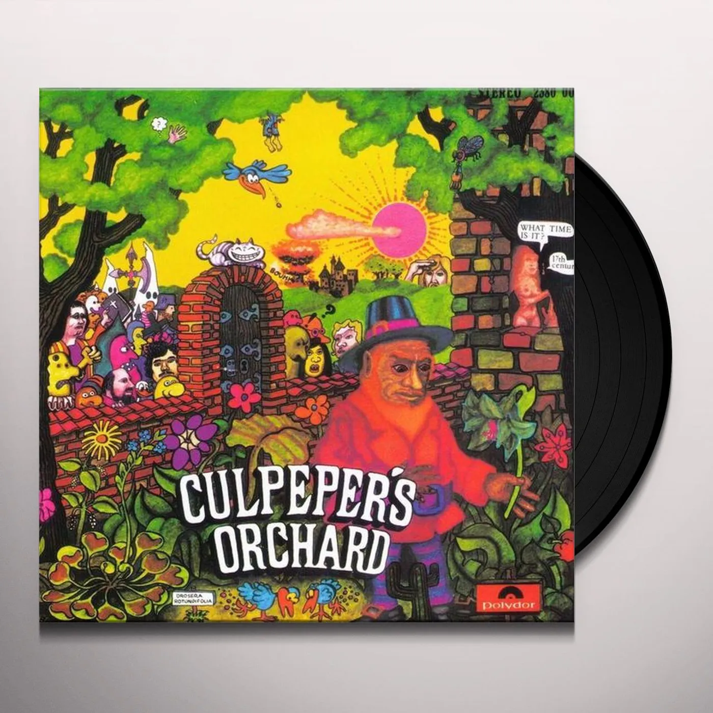 CULPEPER'S ORCHARD Vinyl Record - Italy Release