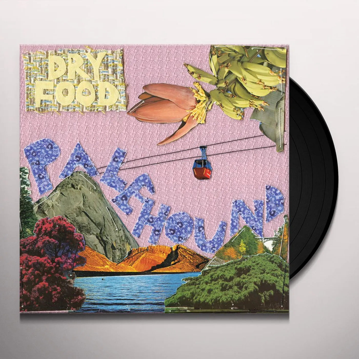 Palehound DRY FOOD Vinyl Record - UK Release