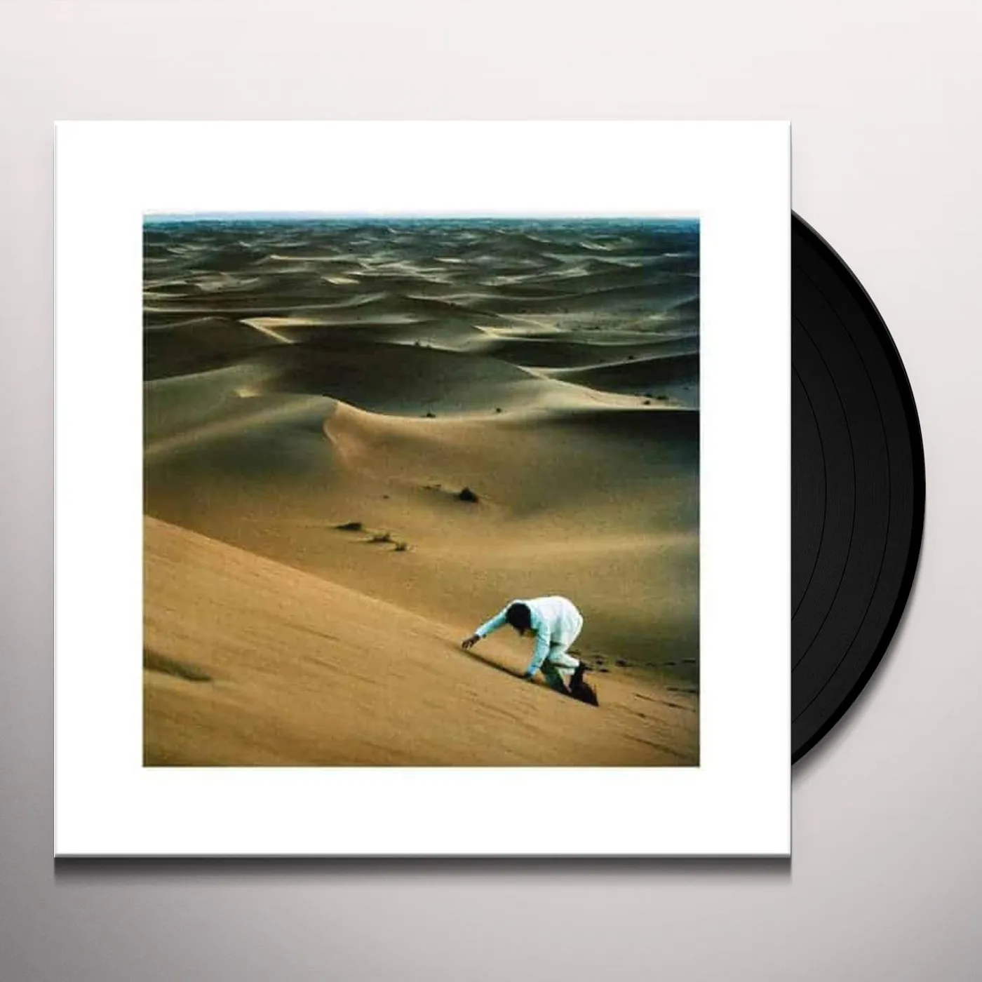 Baxter Dury PRINCE OF TEARS Vinyl Record