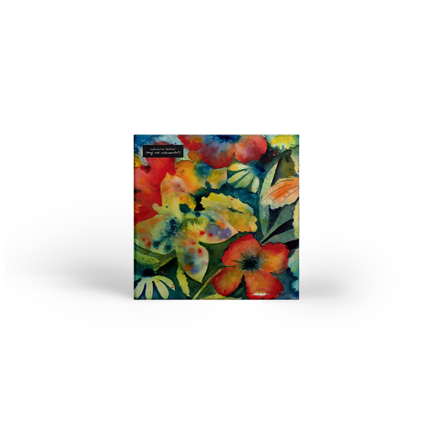 Adrianne Lenker songs and instrumentals 2xcd