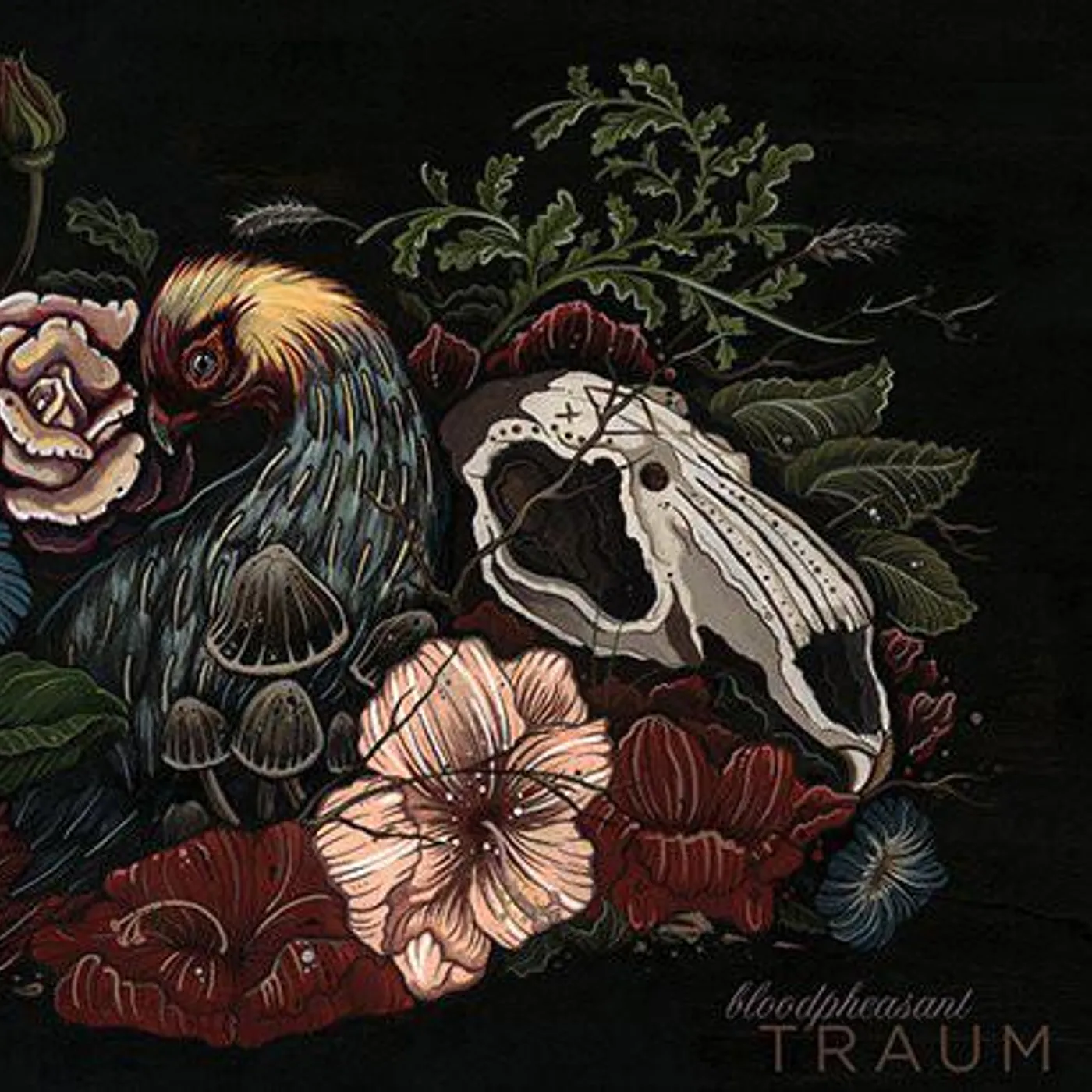 Bloodpheasant ‎– Traum lp (Vinyl)