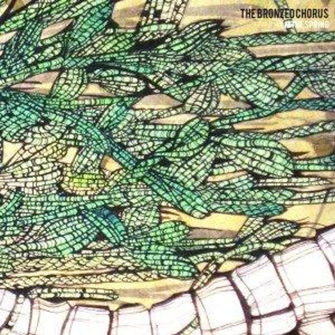 The Bronzed Chorus ‎– I'm The Spring LP (Vinyl)