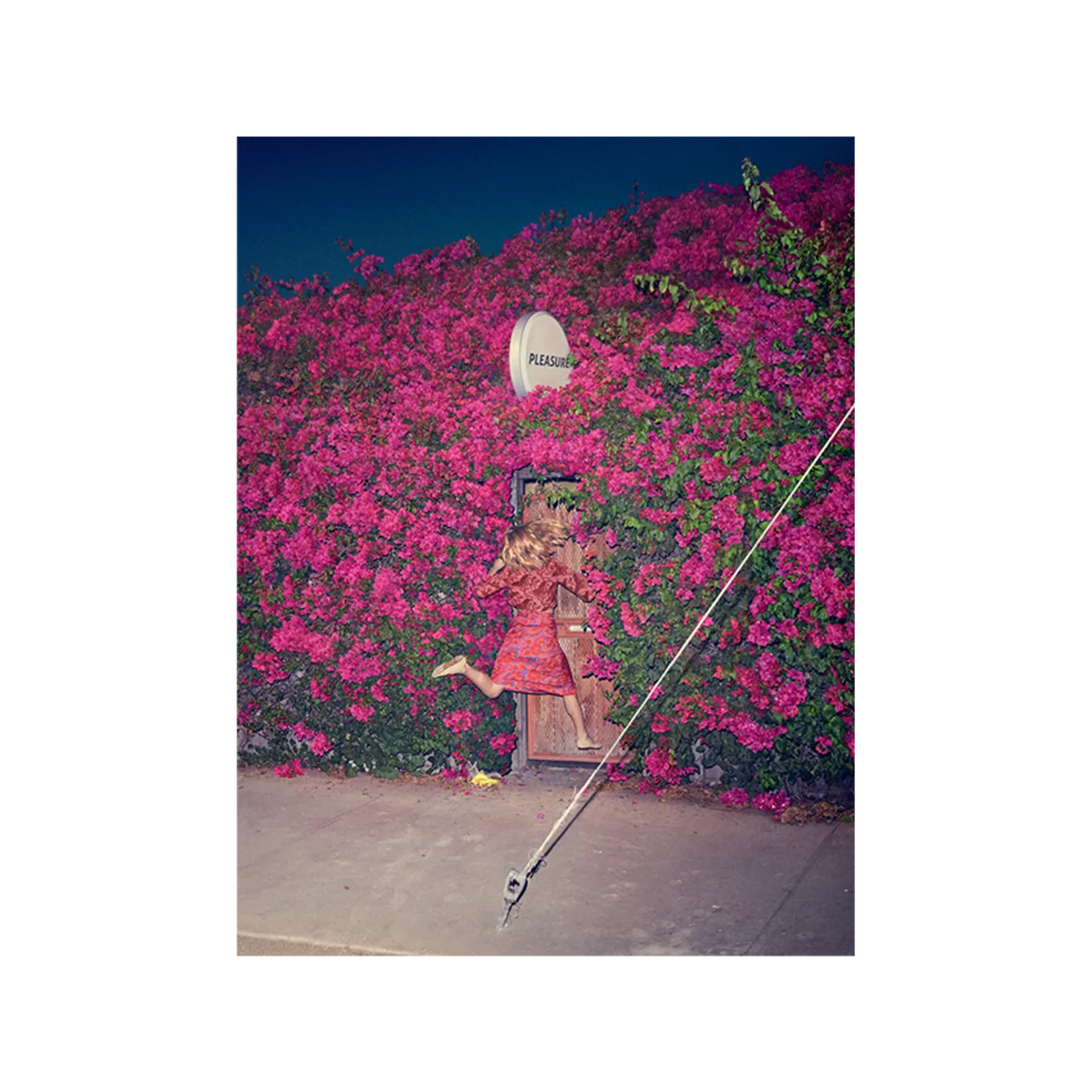 Feist Pleasure Print Art Print