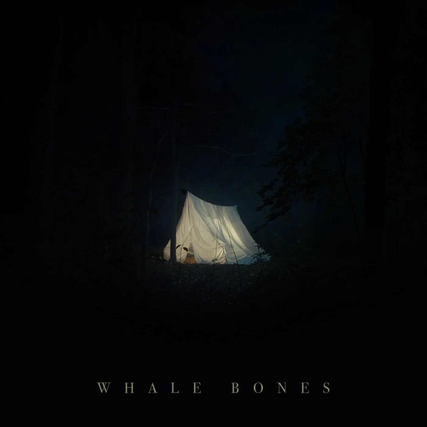 Whale Bones Close All the Blinds (2020) CD w/ Digipak