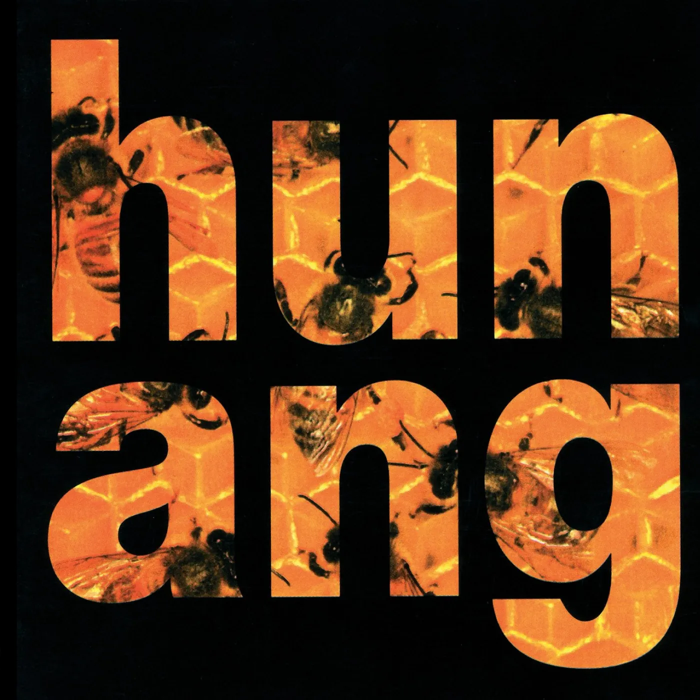 Nýdönsk - Hunang