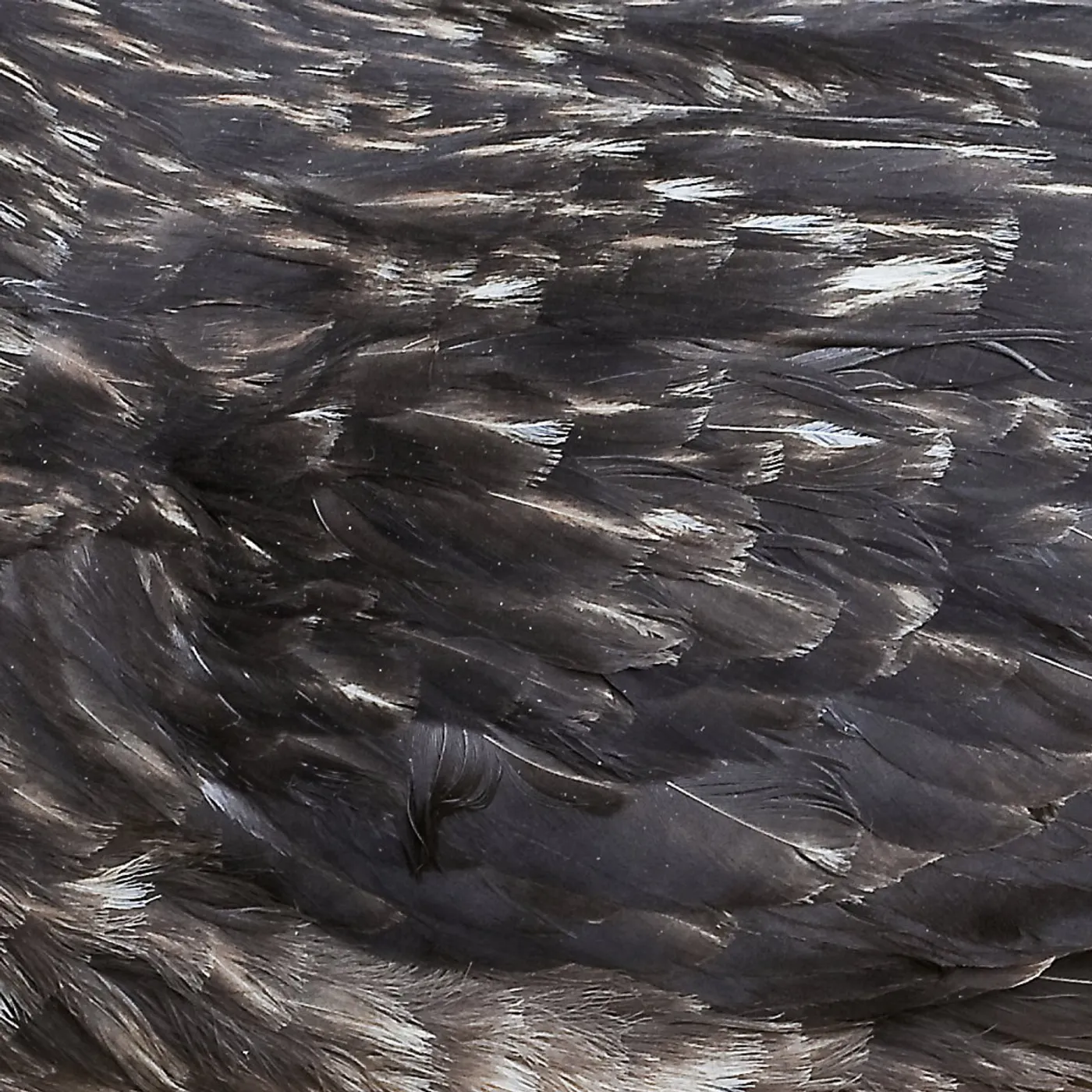 Arstidir Árstíðir - Árstíðir