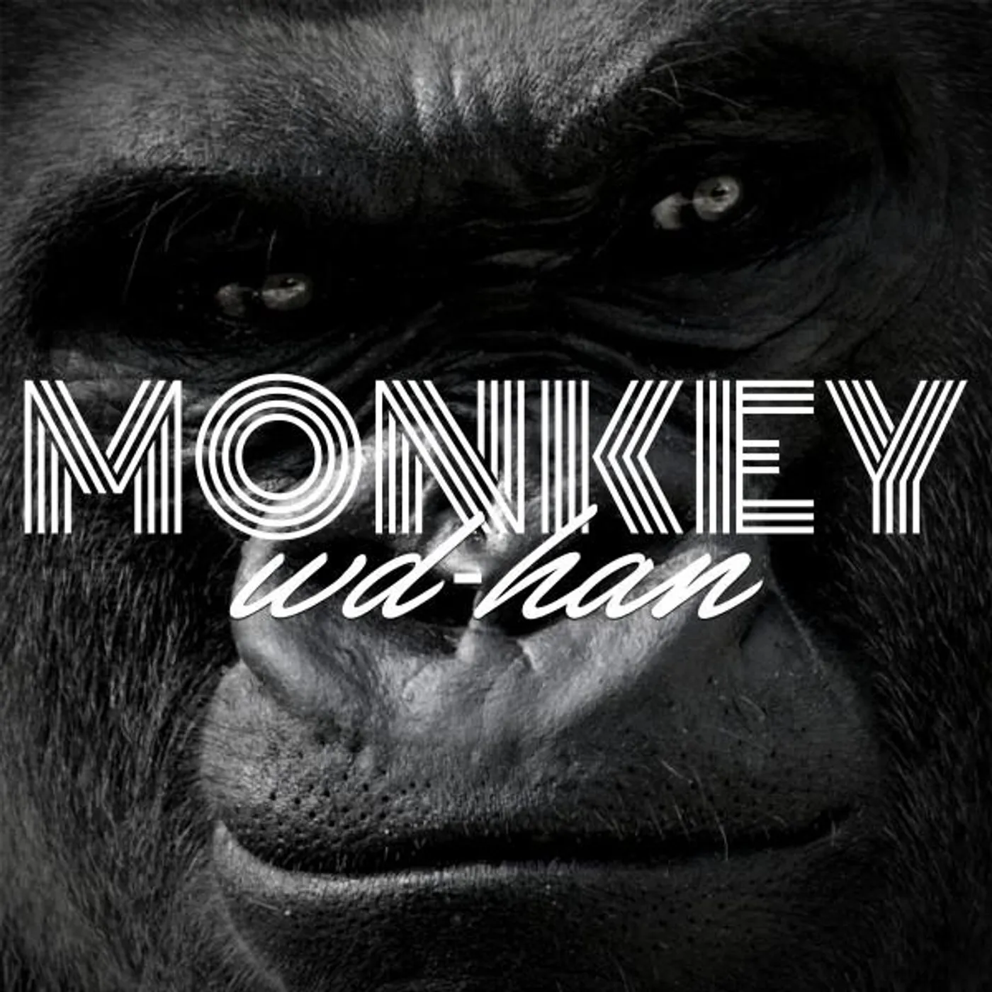 WD-HAN Monkey CD