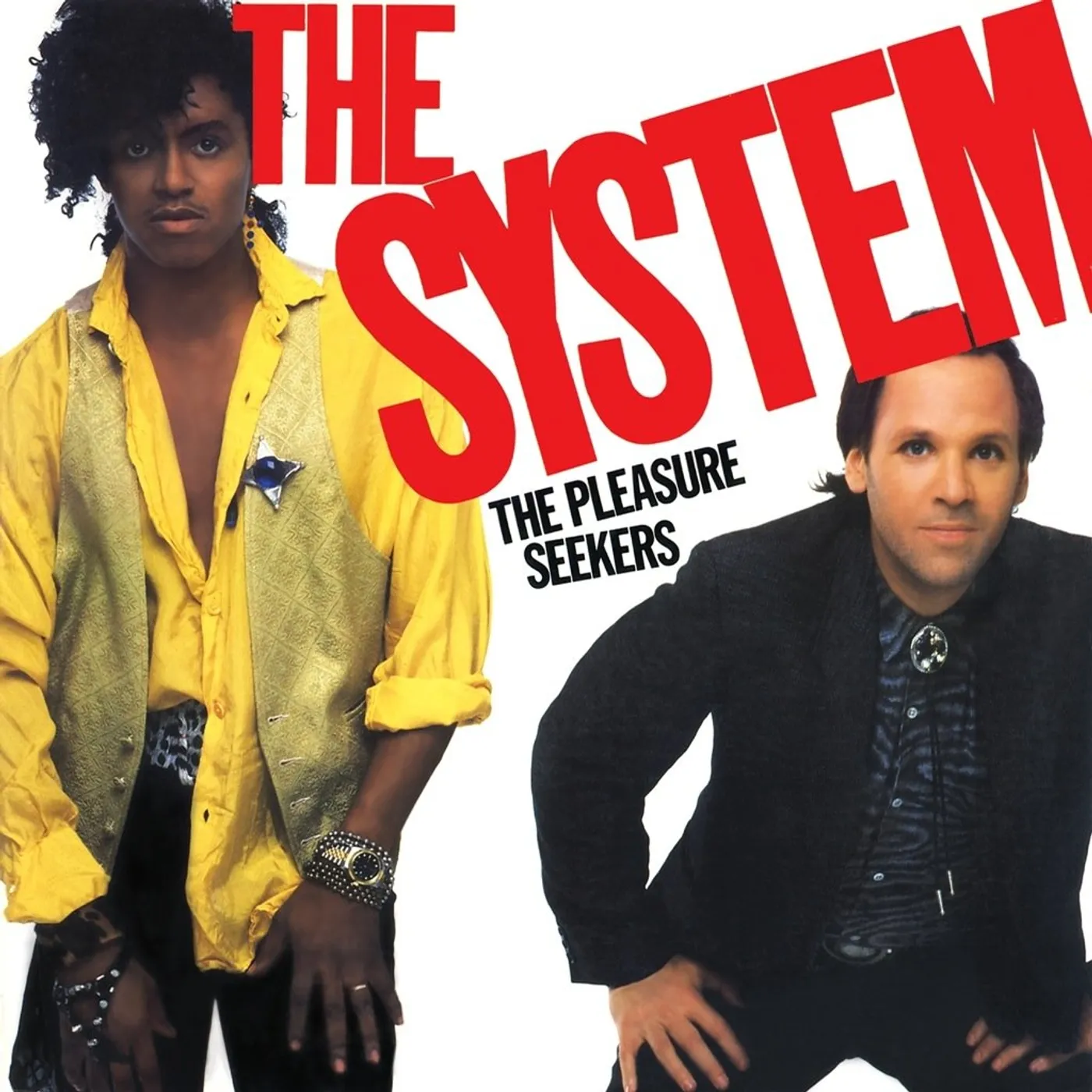 The System - The Pleasure Seekers