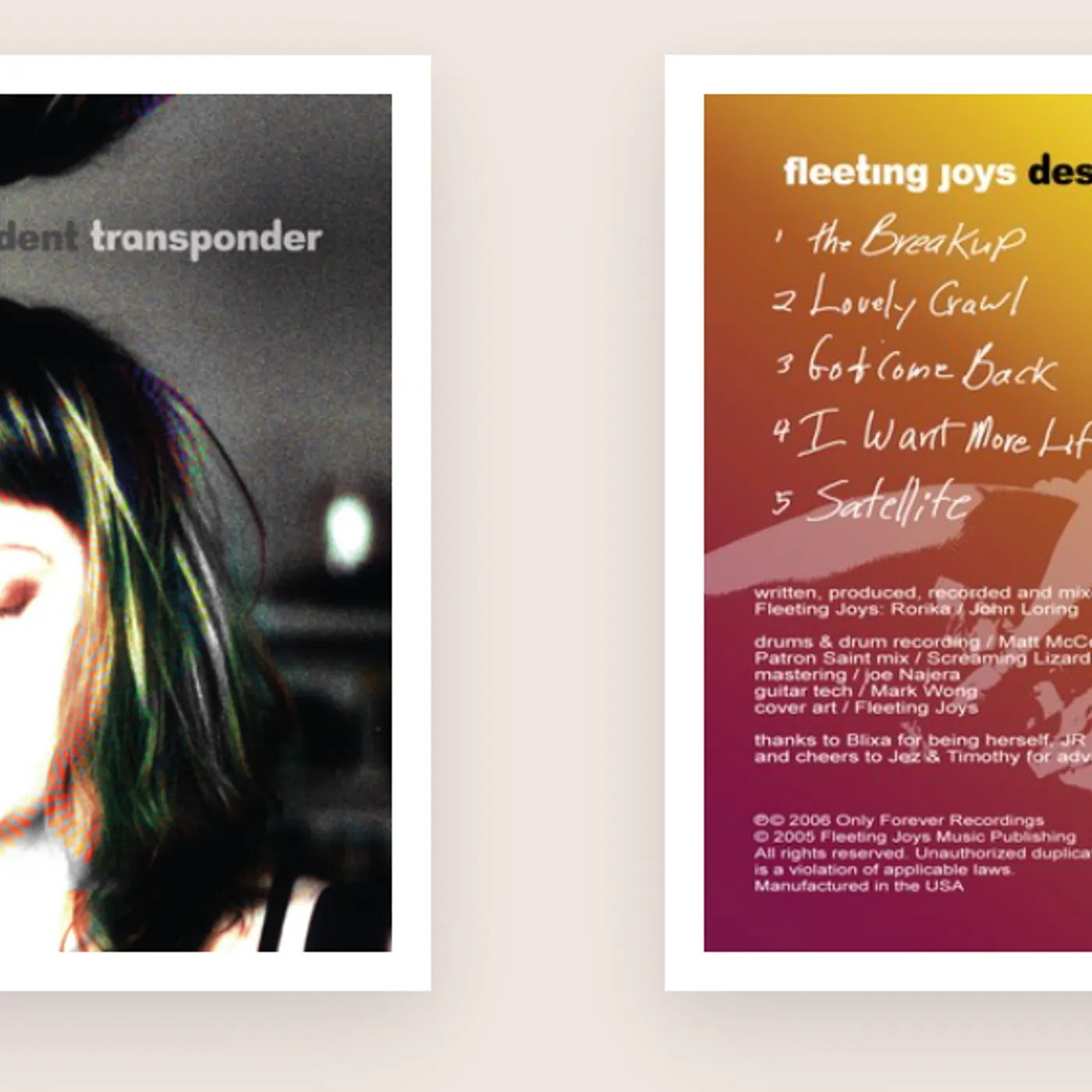 Fleeting Joys Despondent Transponder Vinyl Reissue