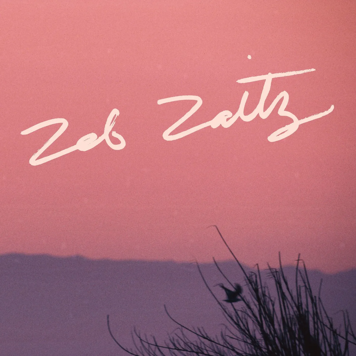Zeb Zaitz - Zeb Zaitz