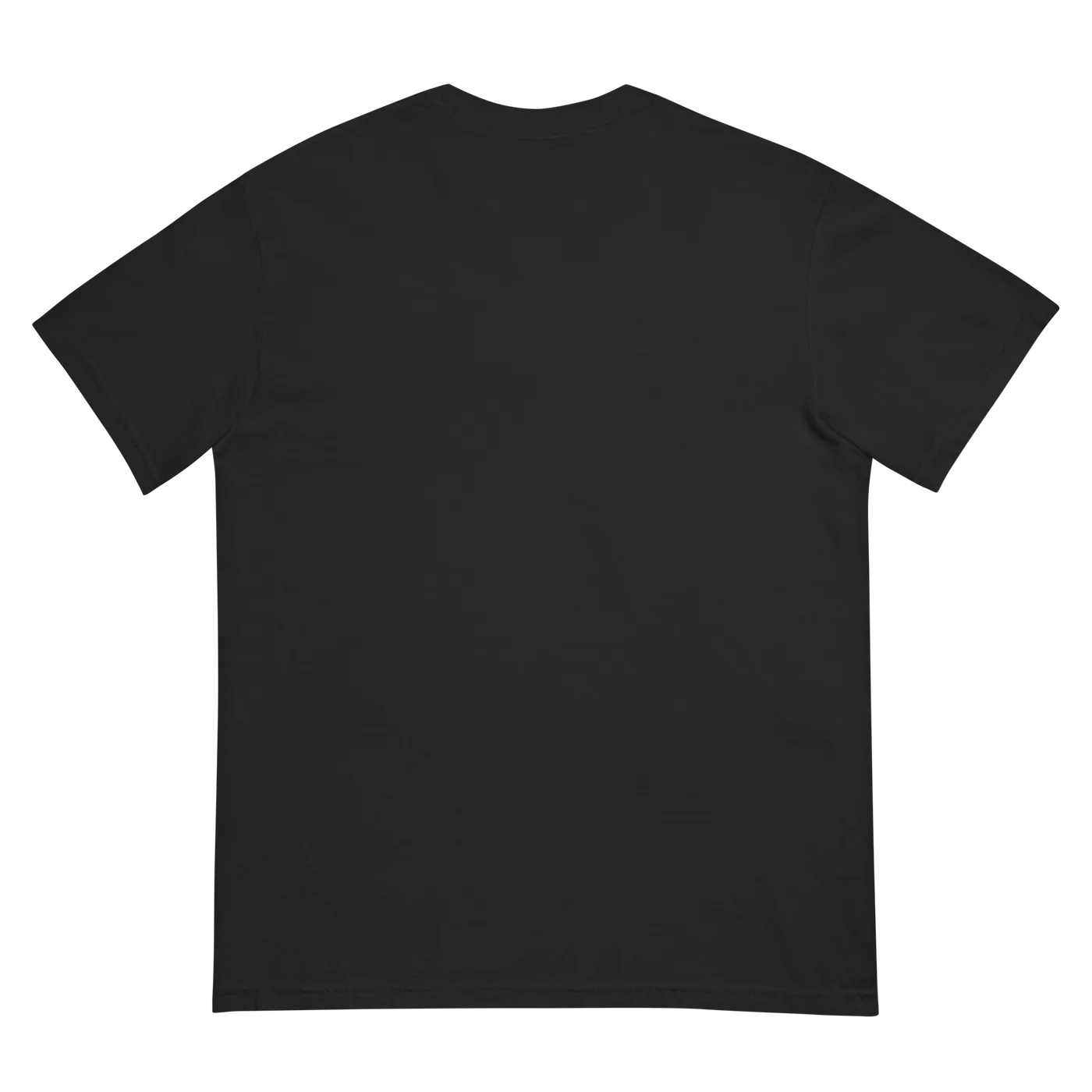 Rodrigo y Gabriela Black Birds T-Shirt