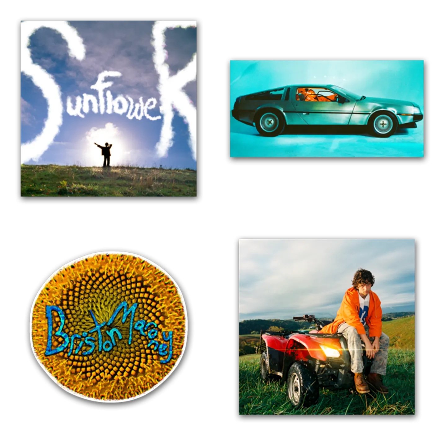 Briston Maroney Sunflower Sticker Set