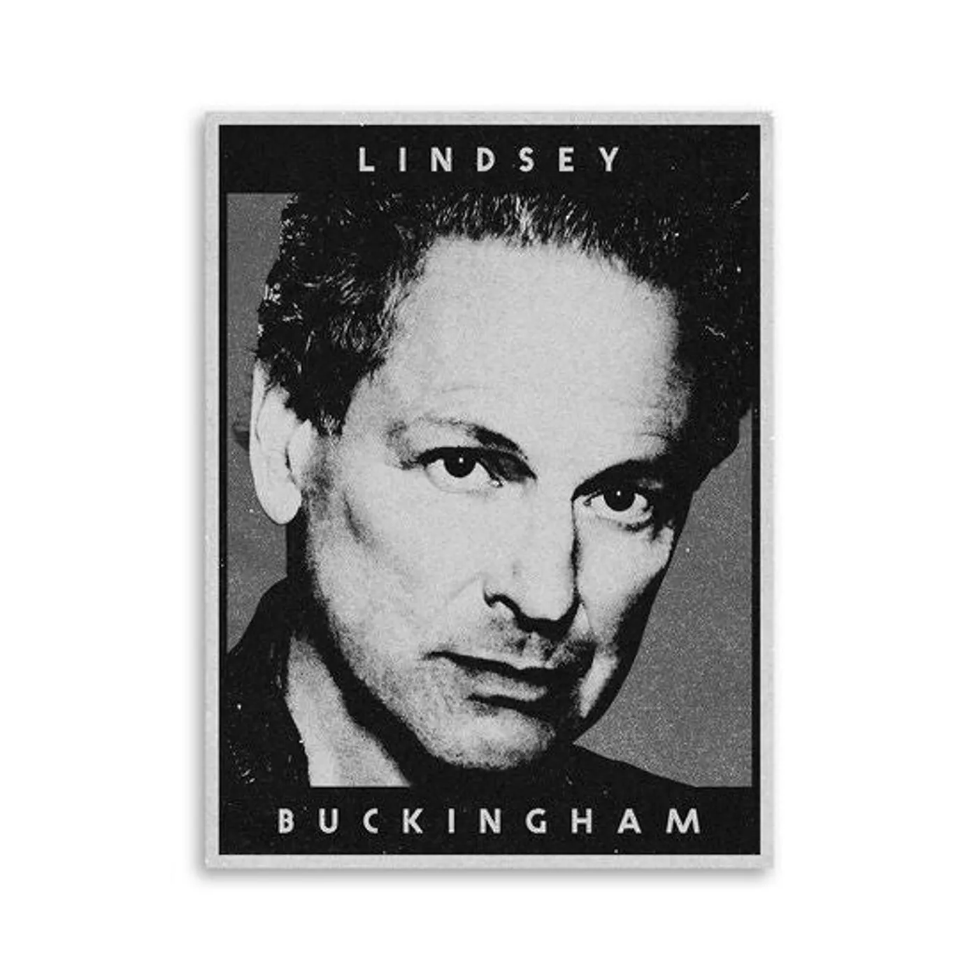Lindsey Buckingham 18x24 Poster