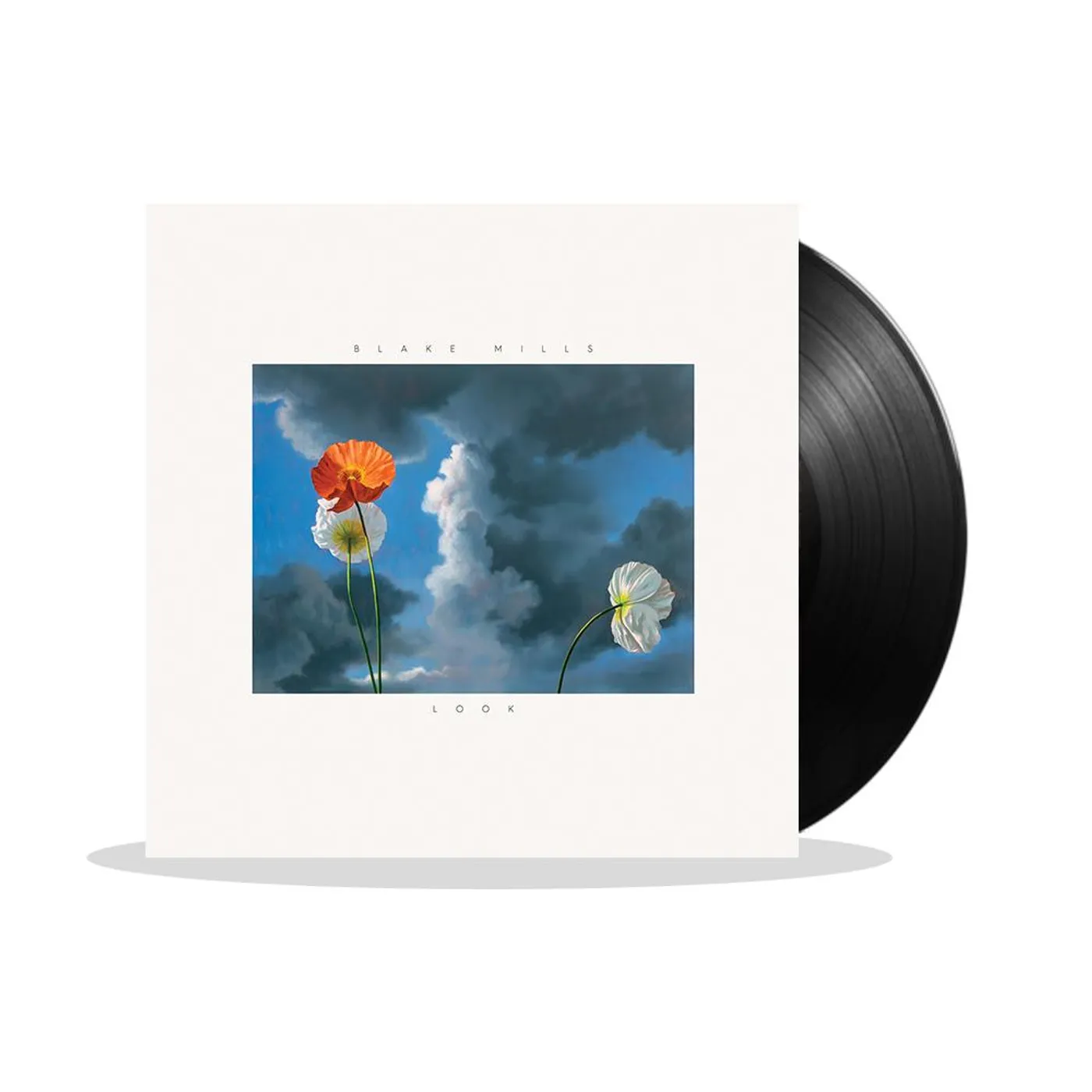 Blake Mills "Look" Vinyl LP