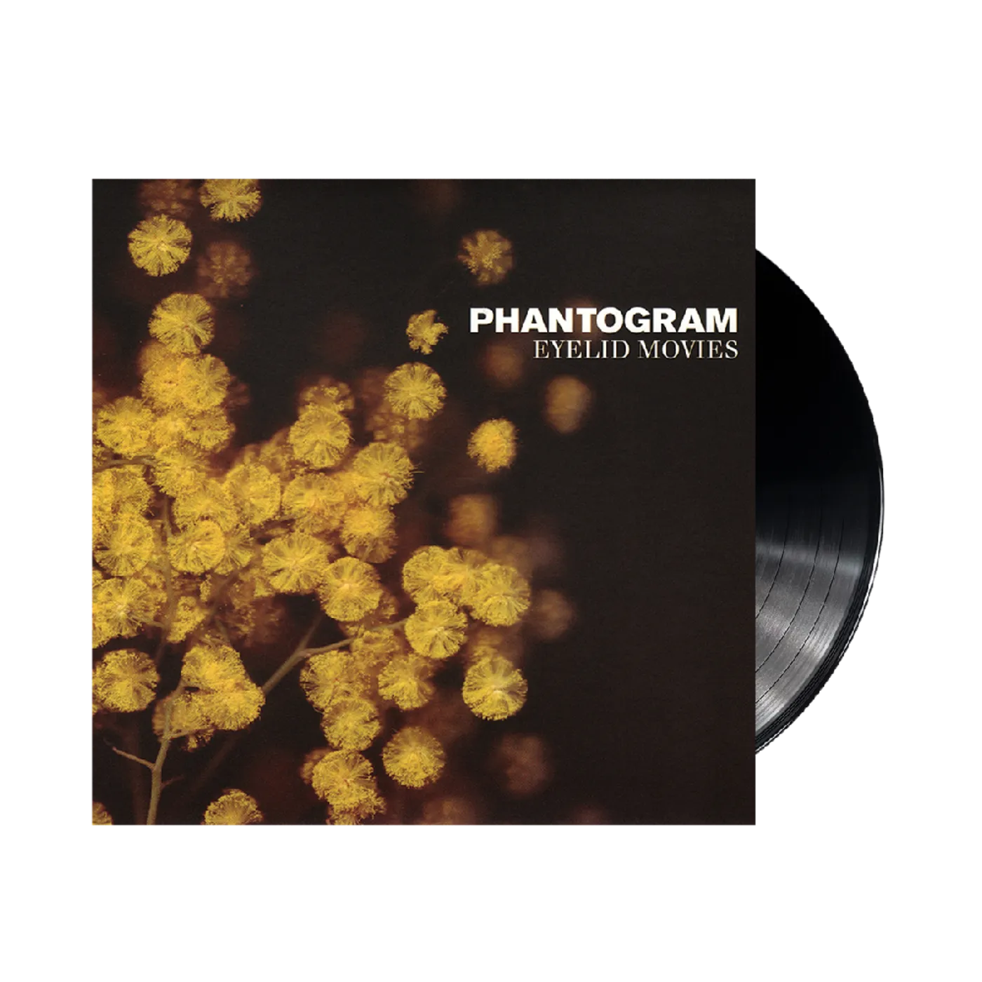 Phantogram Eyelid Movies LP (Vinyl)