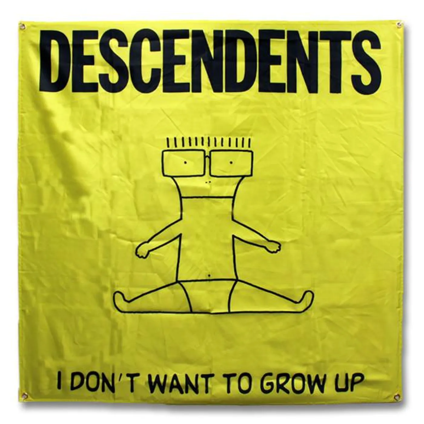 Descendents I Don't Want To Grow Up Flag